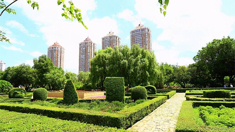 园林景观设计厂家直销：揭秘其背后的优势与考量**