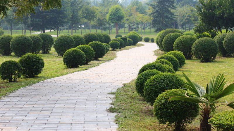 植物墙：不仅仅是价格，更是一门艺术