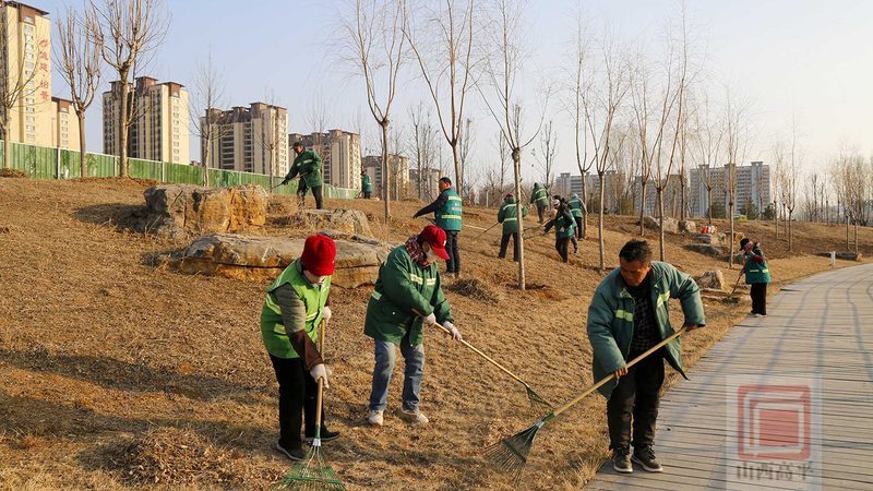 市政绿化养护规范：如何选择合适的标准