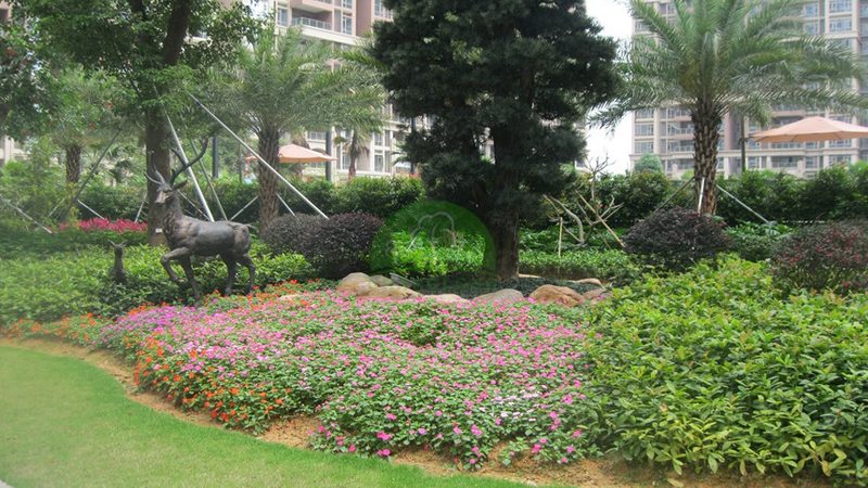 垂直绿化植物墙：打造城市绿色新景观**