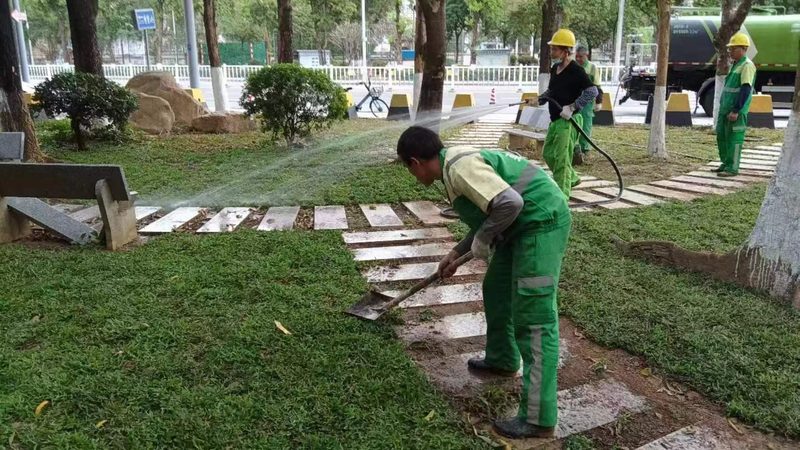 反季节苗木种植，养护关键点解析**