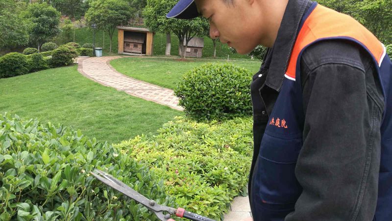 在众多工厂绿化养护品牌中，以下品牌值得关注：