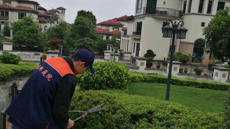 园林石材荔枝面与火烧面：差异解析与选择要点**