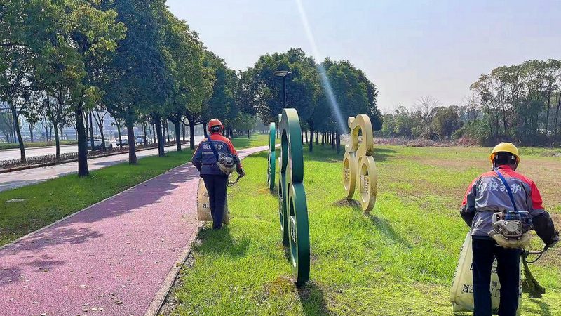 绿植租摆公司加盟代理：如何选择与加盟**