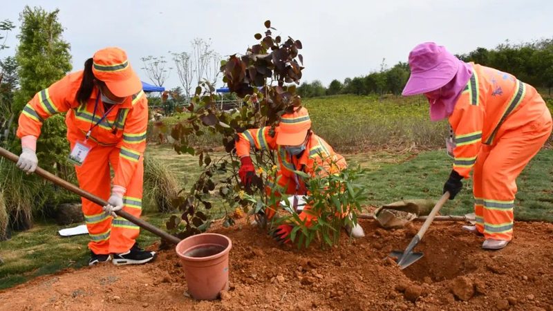 园林工程报价与结算流程解析