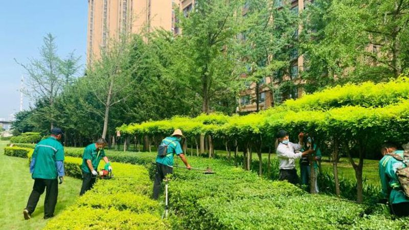 北京立体绿化人工草坪与真植物对比